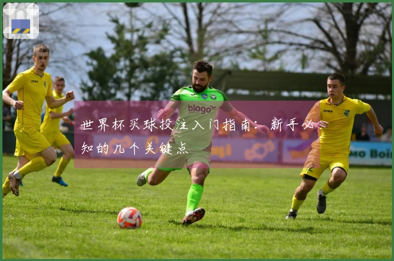 世界杯买球投注入门指南：新手必知的几个关键点