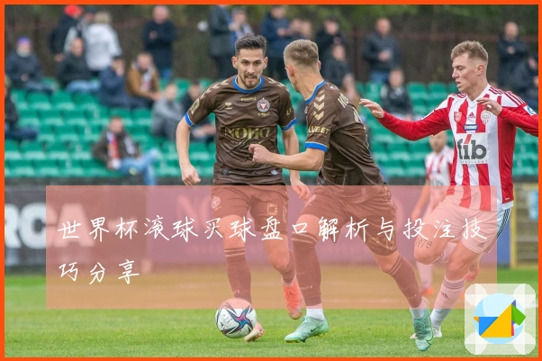 世界杯滚球买球盘口解析与投注技巧分享