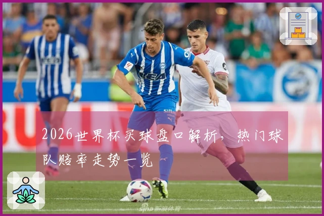 2026世界杯买球盘口解析，热门球队赔率走势一览