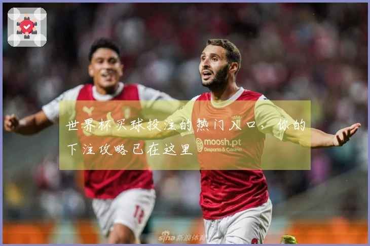 世界杯买球投注的热门入口，你的下注攻略已在这里