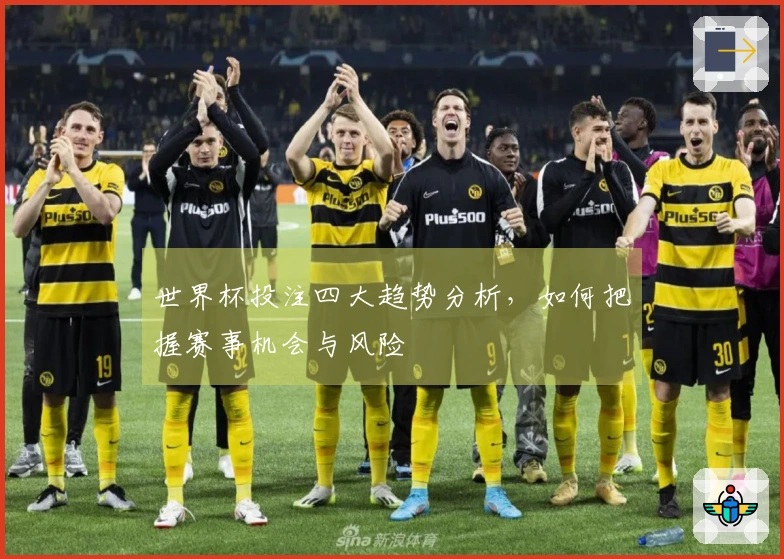 世界杯投注四大趋势分析，如何把握赛事机会与风险