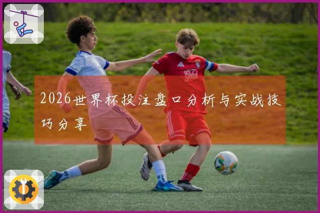 2026世界杯投注盘口分析与实战技巧分享