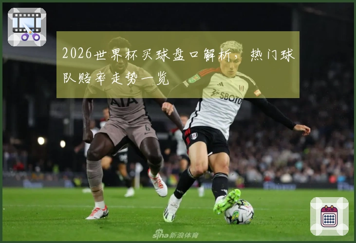 2026世界杯买球盘口解析，热门球队赔率走势一览