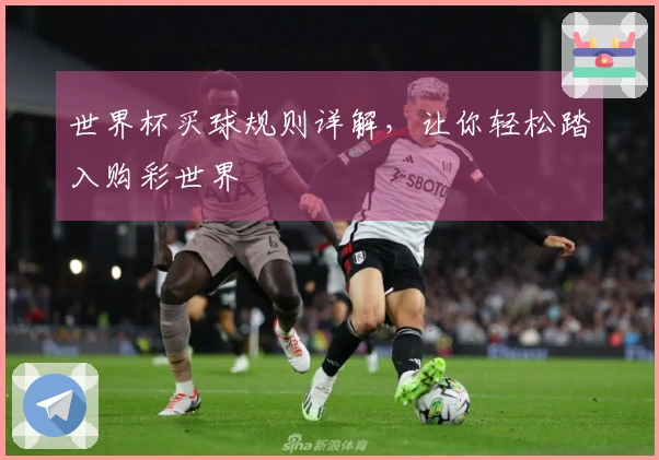 世界杯买球规则详解，让你轻松踏入购彩世界