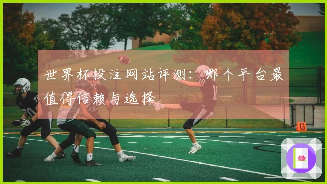 世界杯投注网站评测：哪个平台最值得信赖与选择