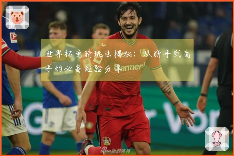 世界杯竞猜玩法揭秘：从新手到高手的必备经验分享