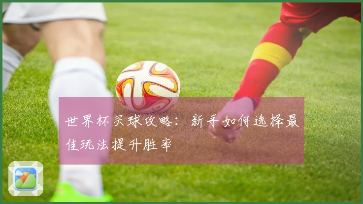 世界杯买球攻略：新手如何选择最佳玩法提升胜率