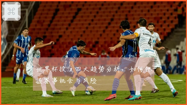 世界杯投注四大趋势分析，如何把握赛事机会与风险