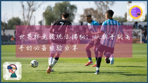 世界杯竞猜玩法揭秘：从新手到高手的必备经验分享