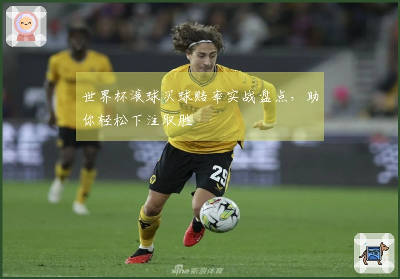 世界杯滚球买球赔率实战盘点，助你轻松下注取胜