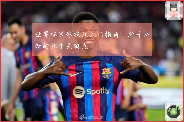 世界杯买球投注入门指南：新手必知的几个关键点