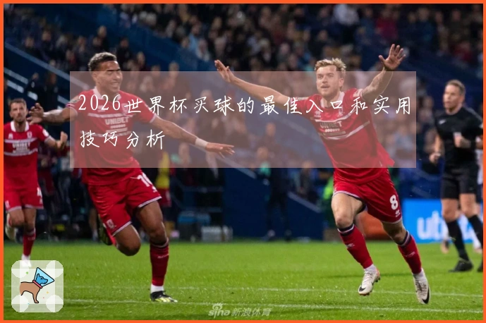 2026世界杯买球的最佳入口和实用技巧分析