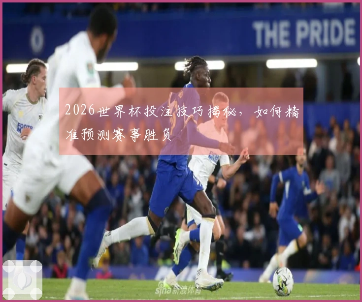 2026世界杯投注技巧揭秘，如何精准预测赛事胜负